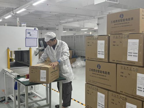 智能電表行業(yè)迎來發(fā)展新契機(jī) 技術(shù)革新與市場需求雙輪驅(qū)動計(jì)量技術(shù)服務(wù)升級