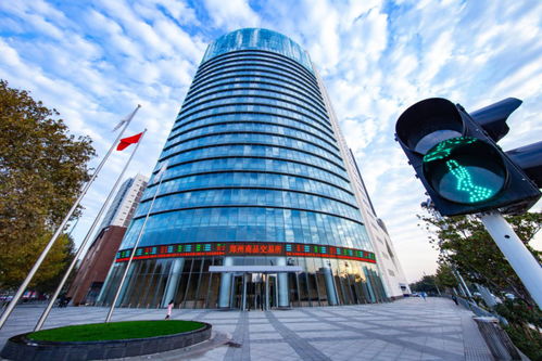 聚焦河南自貿(mào)五周年 自貿(mào)區(qū)政策賦能，鄭商所將新設商品交易中心